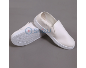 Cleanroom Close Shoes 