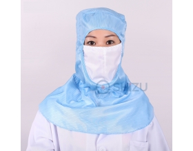 Cleanroom hood with facemask